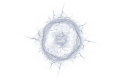 2014 05 04 Test 4 996-white.jpg